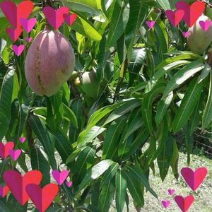 Meet your Posher, Enano